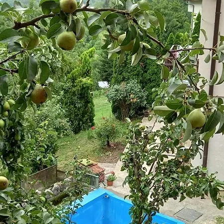 Apartment Hills,small With Garden And Garage *