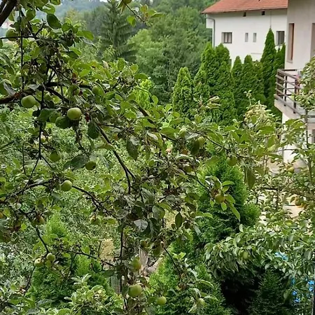 Hills,small With Garden And Garage