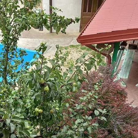 Hills,small With Garden And Garage Apartment