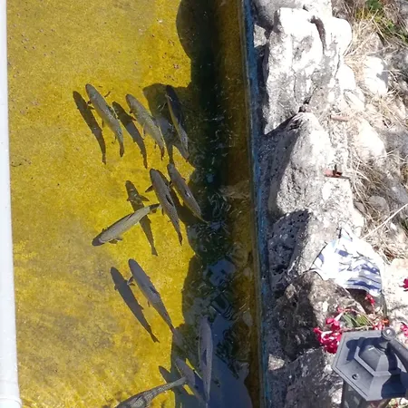 Hills,lux Small With Garden And Garage,old Apartamento