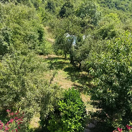 Hills,small With Garden And Garage Sarajevo
