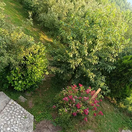 Hills,small With Garden And Garage Apartment